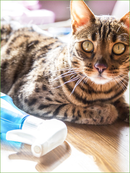 Універсальний засіб для прибирання Yope Green Tea, 750 мл - Pampik - 5