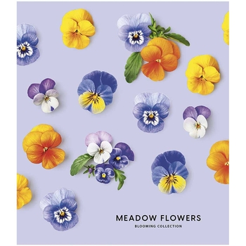 Зошит загальний Школярик Meadow flowers, в лінійку, 36 арк, УФ-лак, 20 шт. (036-3190L) - Pampik - 5