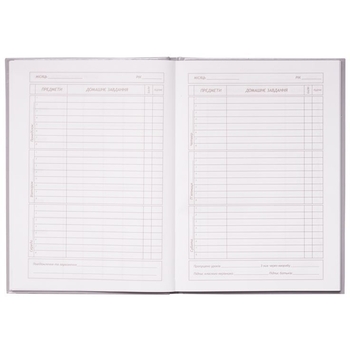 Дневник школьный ZiBi Ballerina В5 48 листов фиолетовый (ZB.13201-07) - Pampik - 3