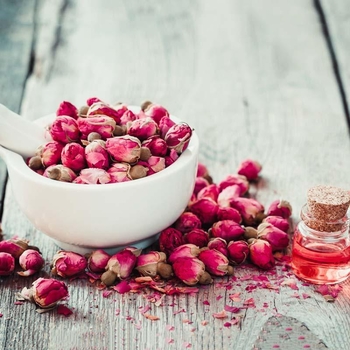 Поживний крем для обличчя з маслом троянди Miya Cosmetics My Wonder Balm I Love Me Face Cream 75 мл - Pampik - 3