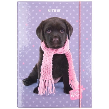 Папка для тетрадей Kite Studio Pets на резинке В5 (SP23-210) - Pampik - 2