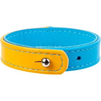 Браслет Waudog Family Colors of freedom, кожа, S, 18-20х1,5 см, желтый с голубым - Pampik