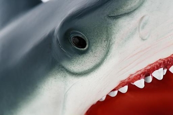 Мягкая игрушка на руку Same Toy Акула, 16 см (X301Ut) - Pampik - 3