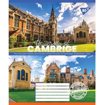 Набір зошитів Yes University, в лінію, 24 аркуші, 20 шт. (766667) - Pampik