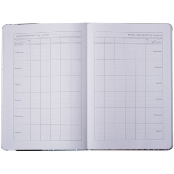 Щоденник шкільний ZiBi Silver В5 48 аркушів срібний (ZB.13214-24) - Pampik - 6