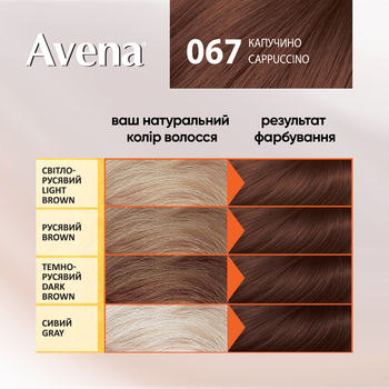 Стойкая крем-краска для волос Avena Shine Color капучино 67, 138 мл - Pampik - 4
