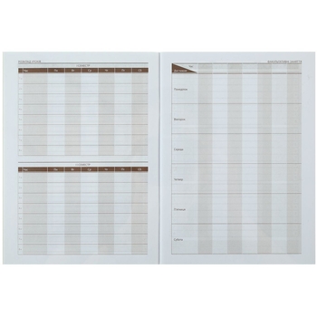 Шкільний щоденник ZiBi Smart Line Furry Cat А5 40 аркушів (ZB.13123) - Pampik - 5