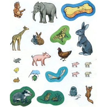 Інтерактивна книжка Богдан Чому? Чого? Навіщо? Малята тварин - Ріхтер Штефан (978-966-10-5959-6) - Pampik - 6