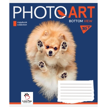 Набір зошитів Yes Photoart, A5, в лінію, 48 аркушів, 10 шт. (766459) - Pampik