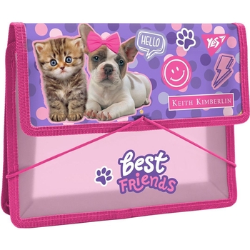 Папка Yes Keith Kimberlin, В5, на резинке (491991) - Pampik