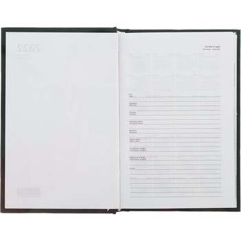 Щоденник недатований Buromax Fancy A5 288 сторінок зелений (BM.2059-22) - Pampik