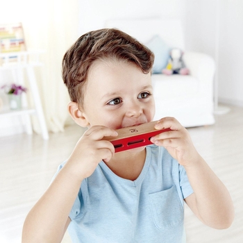 Деревянная гармоника Hape Блюз (E0616) - Pampik - 5