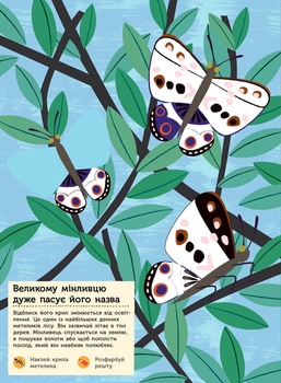 Моя книга природи Ранок Тварини лісу - Олівія Косно (С849008У) - Pampik - 6