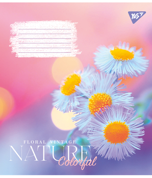 Набір зошитів Yes Nature colorful А5, в клітинку, 60 аркушів, 10 шт. (767145) - Pampik - 3