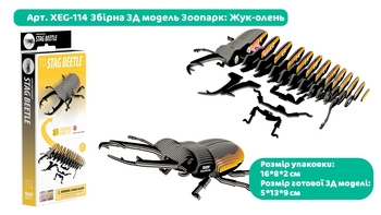 Збірна 3Д модель Eugy Зоопарк Жук-олень (XEG-114) - Pampik - 7