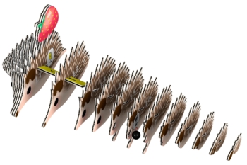 Збірна 3Д модель Eugy Зоопарк Їжак (XEG-026) - Pampik - 2