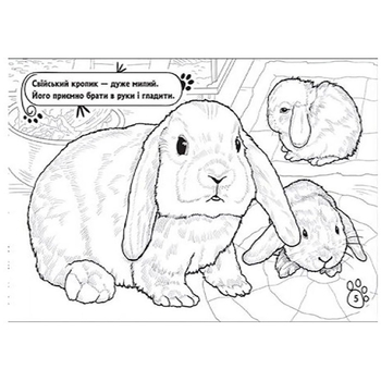 Книга розмальовка Видавництво Ранок Тварини в оселі (А583006У) - Pampik - 2