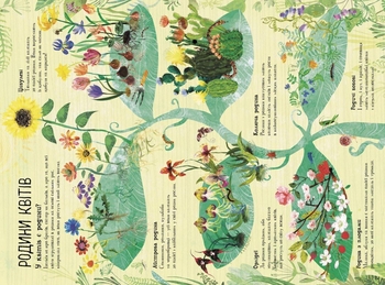 Велика книга квітів Ранок - Ювал Зоммер (N1432005У) - Pampik - 4