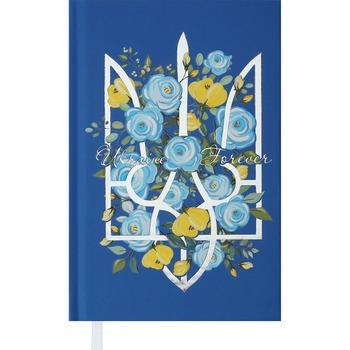 Ежедневник недатированный Buromax Free A6 синий (BM.2601-02) - Pampik