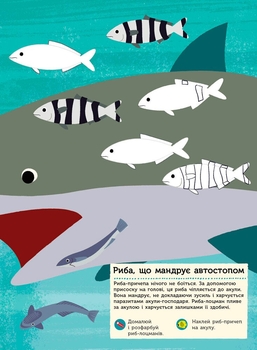 Моя книга природи Ранок В океані - Олівія Косно (С849007У) - Pampik - 7