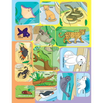 Наліпки для допитливих. Тваринки у зоопарку - Ольга Шевченко (1475276) - Pampik - 8