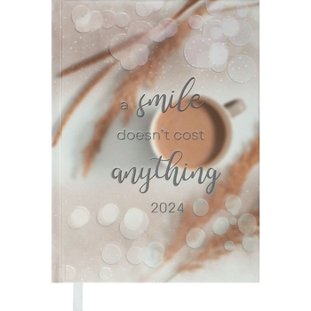 Ежедневник датированный Buromax Posh 2024 A5 коричневый (BM.2118-32) - Pampik