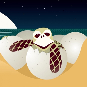 Книга Ранок Морський народ - Мадлєн Роджерс (С885008У) - Pampik - 7