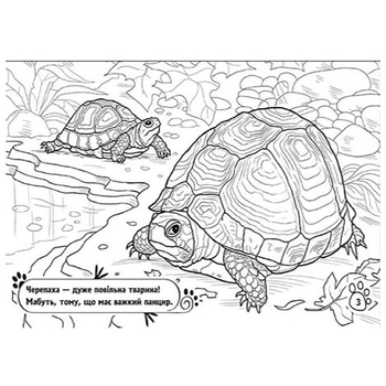 Книга розмальовка Видавництво Ранок Тварини в оселі (А583006У) - Pampik - 6