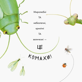 Книга Ранок Знайомі комахи - Наталія Чуб (S934002У) - Pampik - 3