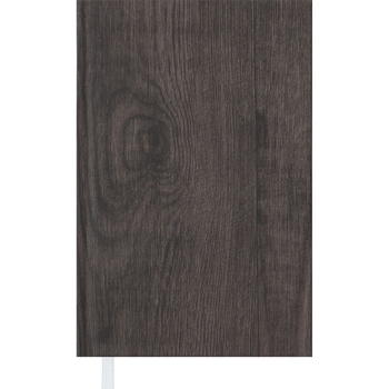 Щоденник недатований Buromax Next A6 коричневий (BM.2608-25) - Pampik