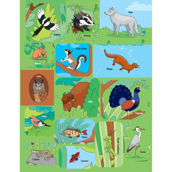 Наліпки для допитливих. Тваринки у лісі - Ольга Шевченко (1475278) - Pampik - 8