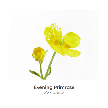 Міцелярна вода Onagrine очищувальна 200 мл (P01510) - Pampik - 3