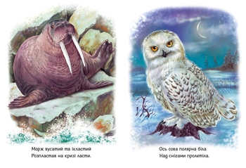 Малятам про звіряток. Тварини світу - Геннадій Меламед (М212014У) - Pampik - 4