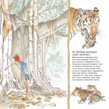 Тигреня Сілія - Даніела Де Лука (С699004У) - Pampik - 6