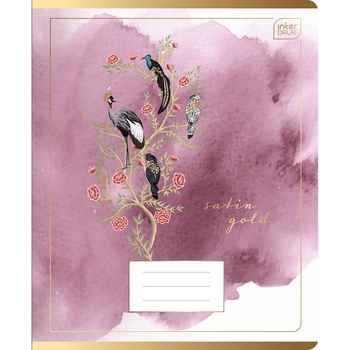 Набір зошитів учнівських Interdruk Premium Paradise 2 А5 в клітинку, 48 аркушів, 4 шт. (354501-4) - Pampik - 4