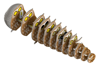 Сборная 3Д модель Eugy Зоопарк Сова (XEG-044) - Pampik - 2