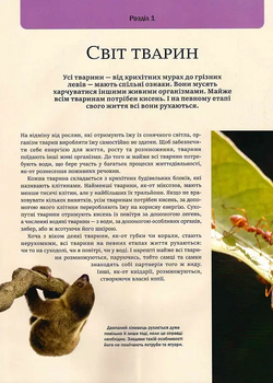 Велика книга тварин - Клаудія Мартін (1467125) - Pampik - 5