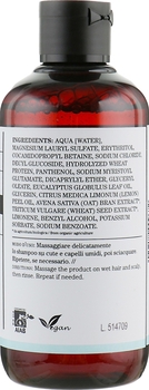 Шампунь зволожувальний для сухого та пошкодженого волосся Bioearth Hair Moisturising Shampoo 250 мл - Pampik - 2