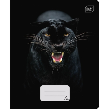 Набор тетрадей ученических Interdruk Premium Wild Collection 2 А5 в клетку 48 листов 4 шт. (354518-4) - Pampik