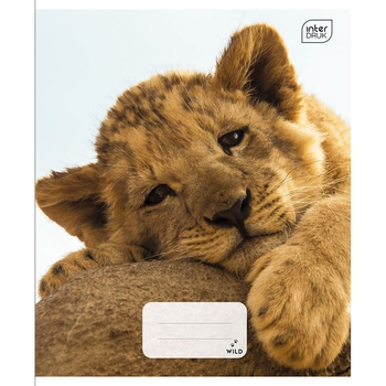 Набір зошитів учнівських Interdruk Premium Wild Collection 4 А5 в клітинку 12 аркушів 4 шт. (354419-4) - Pampik