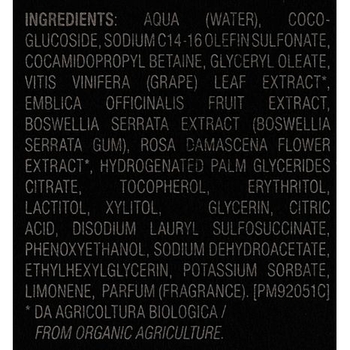 Гель для душу Philip Martin's Ash Body Shower з ароматом ладану 75 мл - Pampik - 4