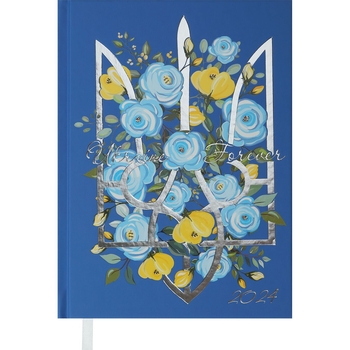 Ежедневник датированный Buromax Free 2024 A5 синий (BM.2166-02) - Pampik