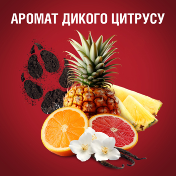 Гель для душу та шампунь Old Spice 3 в 1 Wolfthorn, 675 мл - Pampik - 9