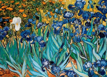 Пазл EuroGraphics Ирисы Винсент Ван Гог, 1000 элементов (6000-4364) - Pampik - 2