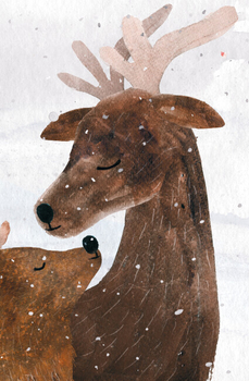 Оленичка і Малинівка - Роза Бейлі (Z104145У) - Pampik - 6