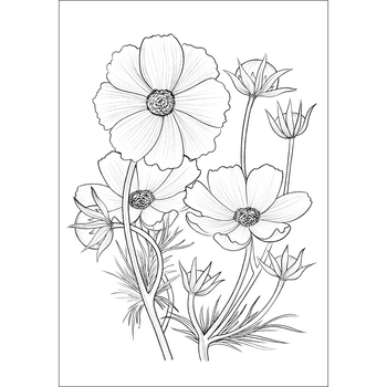 Розмальовка антистрес Santi Флористика 12 сторінок (743058) - Pampik - 3