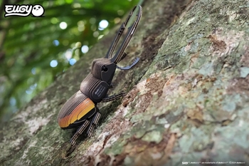 Збірна 3Д модель Eugy Зоопарк Жук-олень (XEG-114) - Pampik - 12