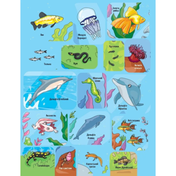 Наліпки для допитливих. Тваринки під водою - Ольга Шевченко (1475279) - Pampik - 7