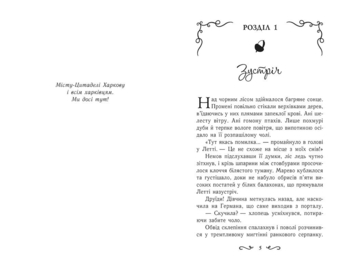 Летті Ґвінґілл. Цитадель друїдів - Єва Сольска (Ч1573004У) - Pampik - 2
