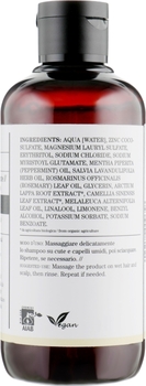 Шампунь для жирного волосся Bioearth Hair Normalising Shampoo 250 мл - Pampik - 2